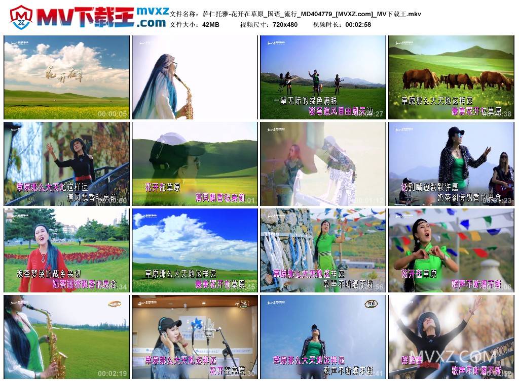 萨仁托雅-花开在草原_国语_流行_MD404779